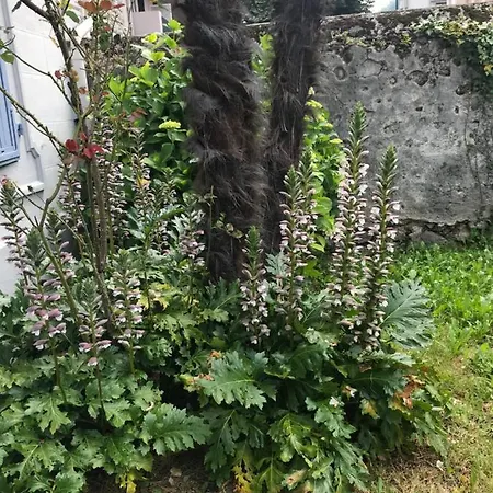 Appartement Le Logis Du Pic Du Midi Lourdes